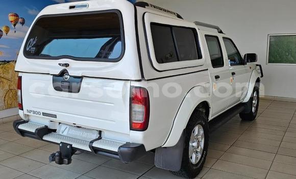 Acheter Occasion Voiture Nissan NP 300 Blanc à Maseru, Maseru Acheter Occasion Voiture Nissan NP 300 Blanc à Maseru, Maseru