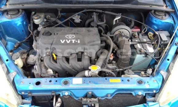 Sayi Na hannu Toyota Vitz Blue Mota in Maseru a Maseru Sayi Na hannu Toyota Vitz Blue Mota in Maseru a Maseru