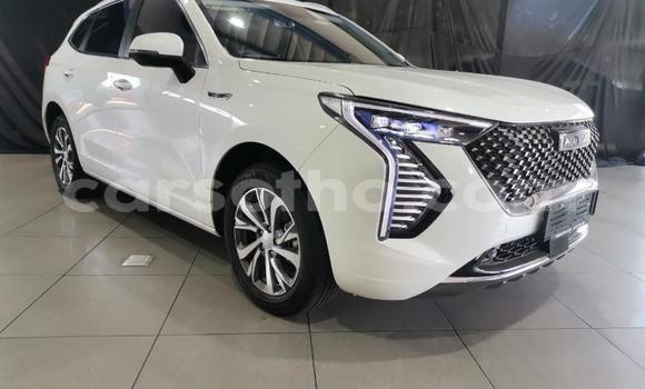 Sayi Na hannu Haval H6 White Mota in Maseru a Maseru