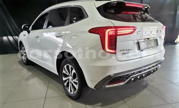 Sayi Na hannu Haval H6 White Mota in Maseru a Maseru Sayi Na hannu Haval H6 White Mota in Maseru a Maseru