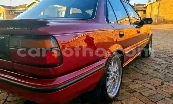Acheter Occasion Voiture Toyota Corolla Rouge à Maseru, Maseru Acheter Occasion Voiture Toyota Corolla Rouge à Maseru, Maseru