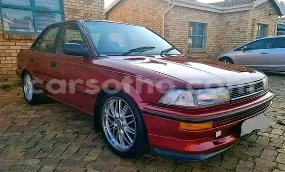 Acheter Occasion Voiture Toyota Corolla Rouge à Maseru, Maseru Acheter Occasion Voiture Toyota Corolla Rouge à Maseru, Maseru