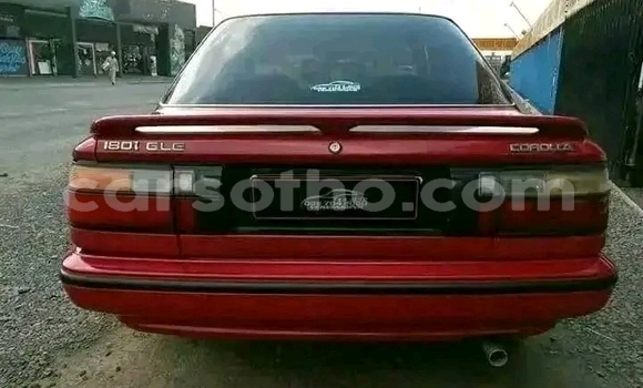 Acheter Occasion Voiture Toyota Corolla Rouge à Maseru, Maseru Acheter Occasion Voiture Toyota Corolla Rouge à Maseru, Maseru