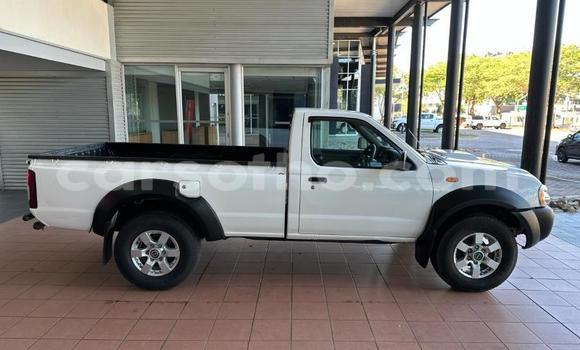اشتري مستعمل Nissan NP 300 White سيارة في Maseru في Maseru اشتري مستعمل Nissan NP 300 White سيارة في Maseru في Maseru