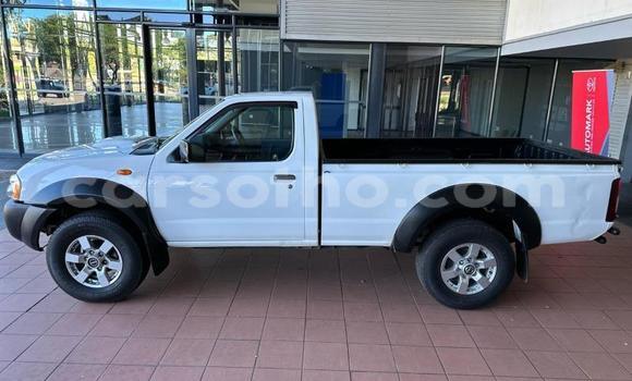 اشتري مستعمل Nissan NP 300 White سيارة في Maseru في Maseru اشتري مستعمل Nissan NP 300 White سيارة في Maseru في Maseru
