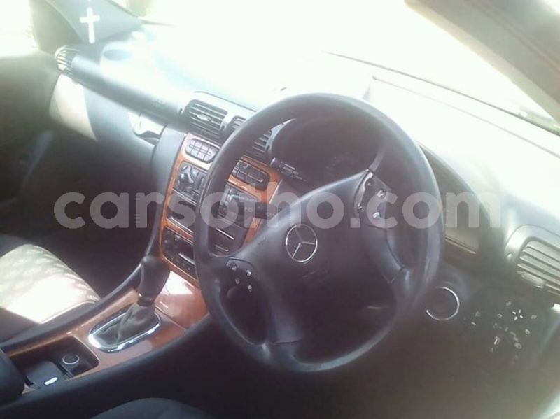 Big with watermark 56523175 1972041376257148 3266095433427976192 o