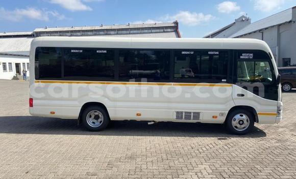اشتري مستعمل Toyota Coaster Other سيارة في Maseru في Maseru اشتري مستعمل Toyota Coaster Other سيارة في Maseru في Maseru
