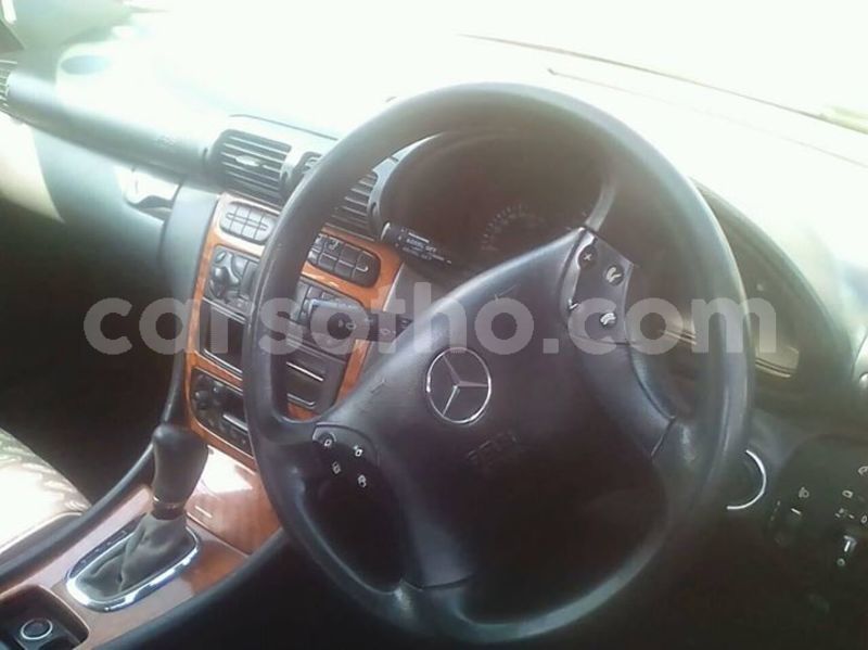 Big with watermark 56636442 1972041346257151 8255698128196337664 o