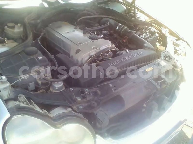 Big with watermark 56673043 1972041329590486 3228572159588696064 o