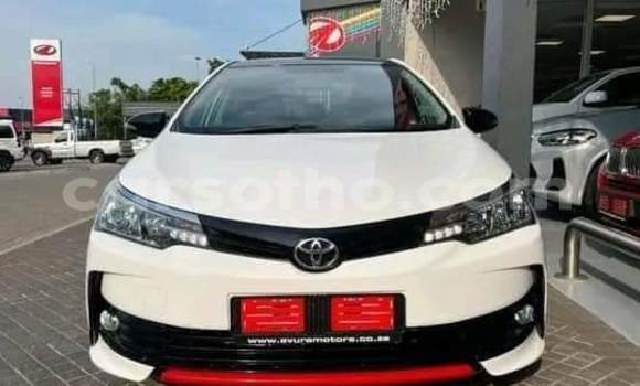 اشتري مستعمل Toyota Corolla White سيارة في Maseru في Maseru