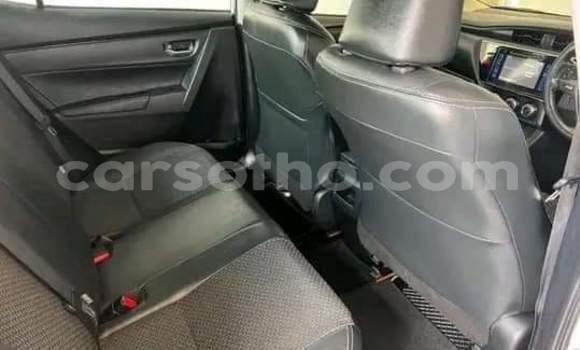 Sayi Na hannu Toyota Corolla White Mota in Maseru a Maseru Sayi Na hannu Toyota Corolla White Mota in Maseru a Maseru