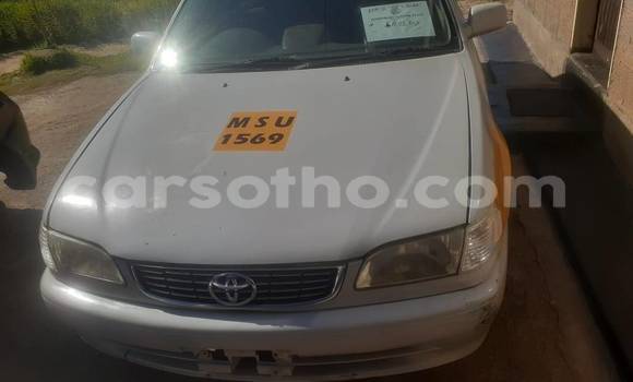 suzu Cars for sale in lesotho - carsotho