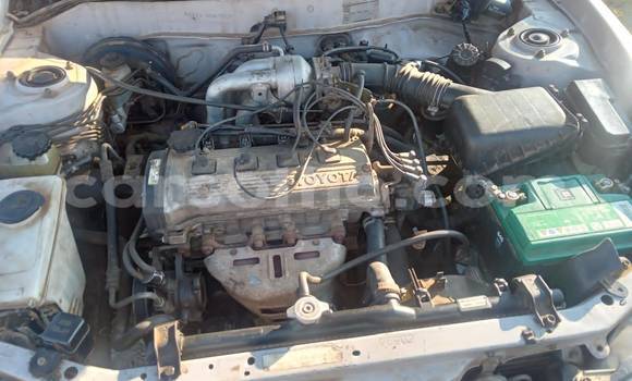 اشتري مستعمل Mercedes-Benz 230 White سيارة في Maseru في Maseru اشتري مستعمل Mercedes-Benz 230 White سيارة في Maseru في Maseru