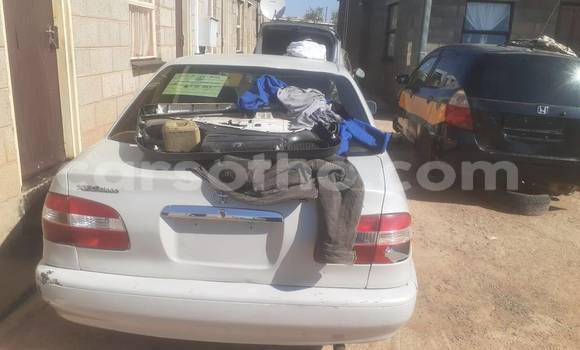 اشتري مستعمل Mercedes-Benz 230 White سيارة في Maseru في Maseru اشتري مستعمل Mercedes-Benz 230 White سيارة في Maseru في Maseru