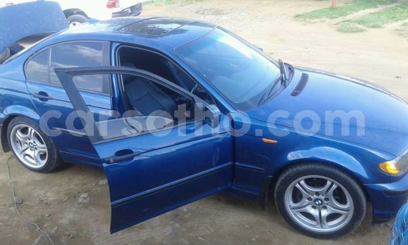 Big with watermark 56334706 1969001679894451 3732729710149369856 o