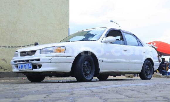 اشتري مستعمل Mercedes-Benz 190 SL White سيارة في Maputsoa في Leribe اشتري مستعمل Mercedes-Benz 190 SL White سيارة في Maputsoa في Leribe