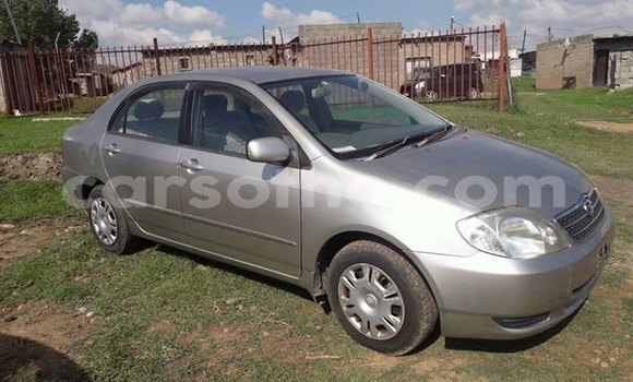 Buy Used Toyota Corolla Beige Car in Maseru in Maseru Buy Used Toyota Corolla Beige Car in Maseru in Maseru