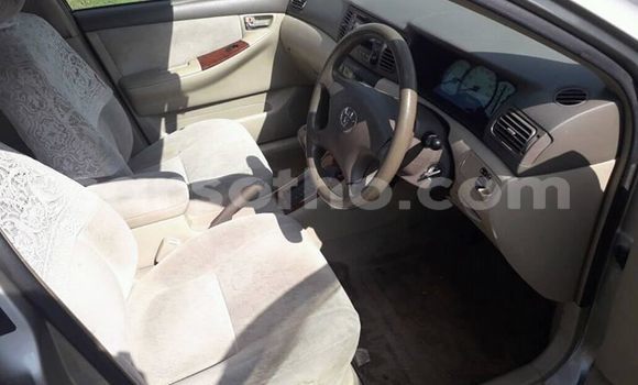 Buy Used Toyota Corolla Beige Car in Maseru in Maseru Buy Used Toyota Corolla Beige Car in Maseru in Maseru