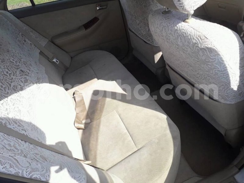 Big with watermark 56182371 1968838779910741 3726379184390406144 o