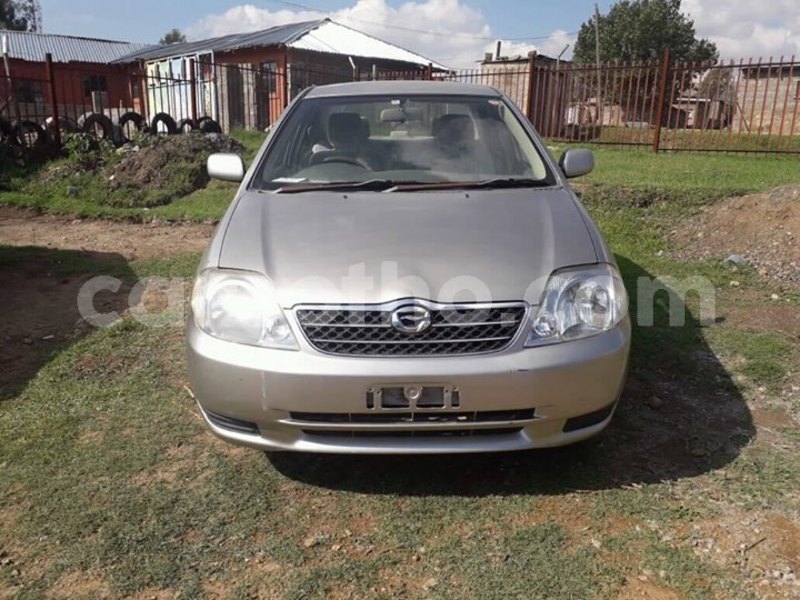 Big with watermark 56331070 1968838756577410 7657384333182763008 o