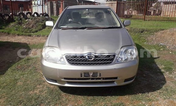 Buy Used Toyota Corolla Beige Car in Maseru in Maseru Buy Used Toyota Corolla Beige Car in Maseru in Maseru