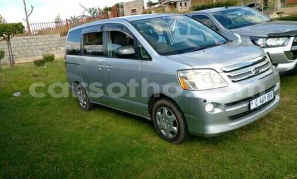 品質は非常に良い sale for cars Buy in carsotho - lesotho シャンプー