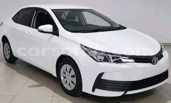 اشتري مستعمل Toyota Corolla White سيارة في Maseru في Maseru