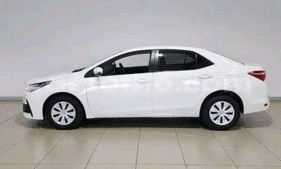 Sayi Na hannu Toyota Corolla White Mota in Maseru a Maseru Sayi Na hannu Toyota Corolla White Mota in Maseru a Maseru