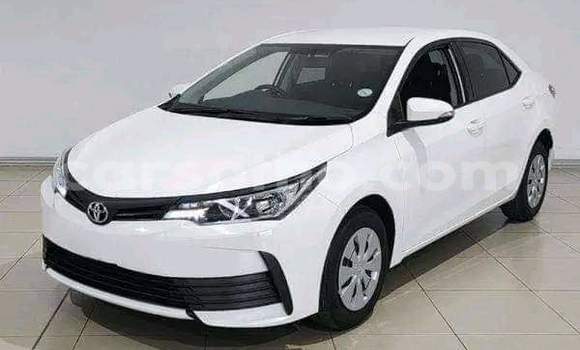 Sayi Na hannu Toyota Corolla White Mota in Maseru a Maseru Sayi Na hannu Toyota Corolla White Mota in Maseru a Maseru