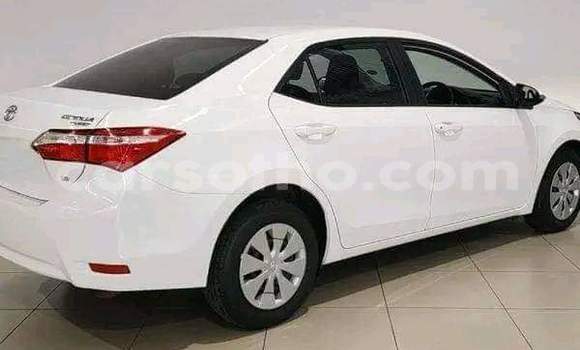 Sayi Na hannu Toyota Corolla White Mota in Maseru a Maseru Sayi Na hannu Toyota Corolla White Mota in Maseru a Maseru