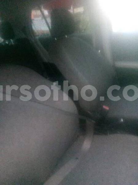 Big with watermark 56174955 1962270730567546 721395527513538560 n