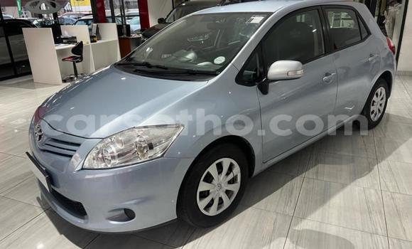 Buy Used Toyota Auris Blue Car in Maseru in Maseru