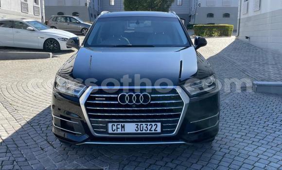 اشتري مستعمل Audi Q7 Black سيارة في Maseru في Maseru اشتري مستعمل Audi Q7 Black سيارة في Maseru في Maseru