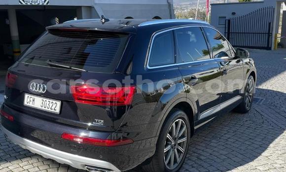 اشتري مستعمل Audi Q7 Black سيارة في Maseru في Maseru اشتري مستعمل Audi Q7 Black سيارة في Maseru في Maseru