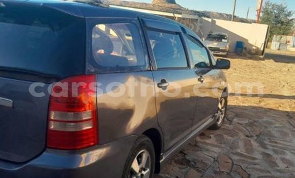 Buy Used Toyota Axio Brown Car in Maseru in Maseru