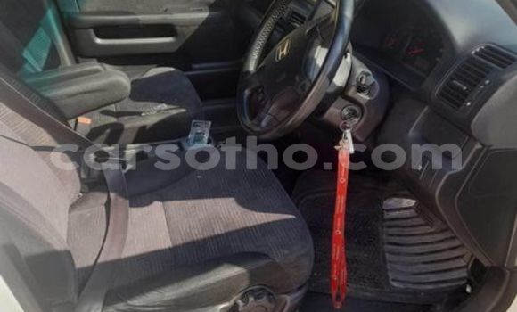 اشتري مستعمل Honda CR–V White سيارة في Butha Buthe في Butha-Buthe اشتري مستعمل Honda CR–V White سيارة في Butha Buthe في Butha-Buthe