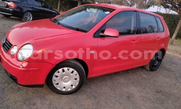 اشتري مستعمل Volkswagen Polo Red سيارة في Maseru في Maseru اشتري مستعمل Volkswagen Polo Red سيارة في Maseru في Maseru