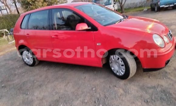 اشتري مستعمل Volkswagen Polo Red سيارة في Maseru في Maseru اشتري مستعمل Volkswagen Polo Red سيارة في Maseru في Maseru