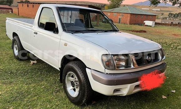 اشتري مستعمل Nissan Hardbody White سيارة في Maseru في Maseru اشتري مستعمل Nissan Hardbody White سيارة في Maseru في Maseru