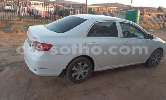 اشتري مستعمل Toyota Corolla White سيارة في Maseru في Maseru اشتري مستعمل Toyota Corolla White سيارة في Maseru في Maseru