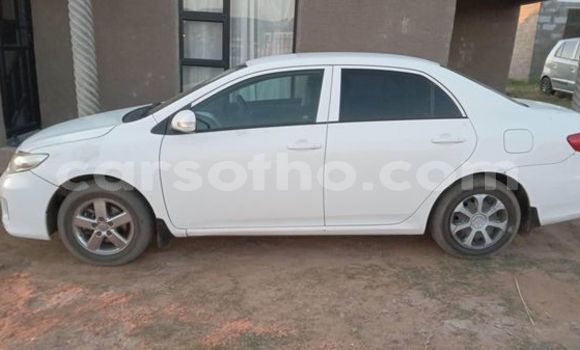 اشتري مستعمل Toyota Corolla White سيارة في Maseru في Maseru اشتري مستعمل Toyota Corolla White سيارة في Maseru في Maseru