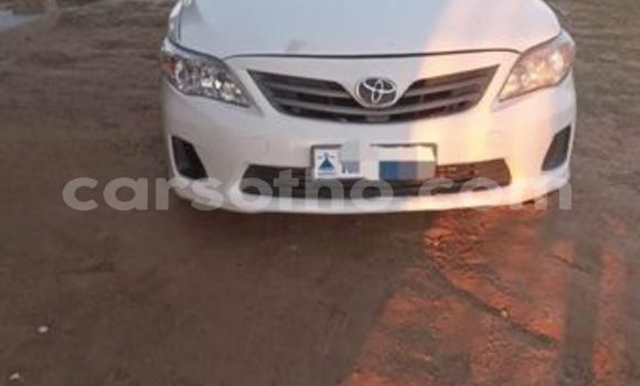 اشتري مستعمل Toyota Corolla White سيارة في Maseru في Maseru اشتري مستعمل Toyota Corolla White سيارة في Maseru في Maseru