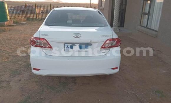 اشتري مستعمل Toyota Corolla White سيارة في Maseru في Maseru اشتري مستعمل Toyota Corolla White سيارة في Maseru في Maseru
