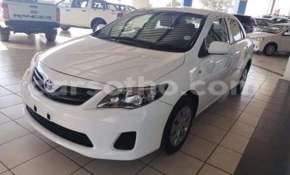 Buy Used Toyota Corolla Silver Car in Maseru in Maseru Buy Used Toyota Corolla Silver Car in Maseru in Maseru