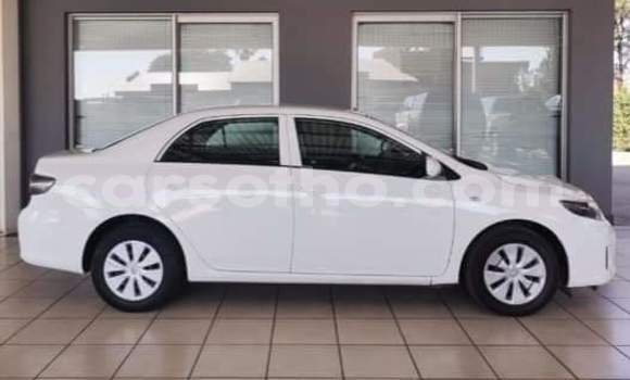 Buy Used Toyota Corolla Silver Car in Maseru in Maseru Buy Used Toyota Corolla Silver Car in Maseru in Maseru