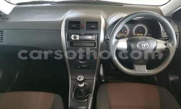 Buy Used Toyota Corolla Silver Car in Maseru in Maseru Buy Used Toyota Corolla Silver Car in Maseru in Maseru