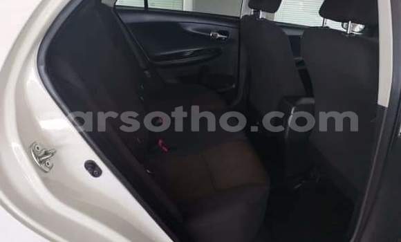 Buy Used Toyota Corolla Silver Car in Maseru in Maseru Buy Used Toyota Corolla Silver Car in Maseru in Maseru