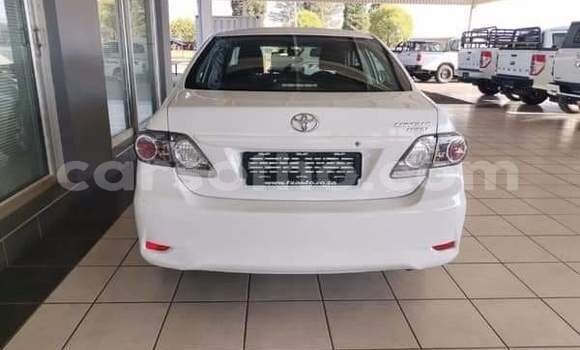 Buy Used Toyota Corolla Silver Car in Maseru in Maseru Buy Used Toyota Corolla Silver Car in Maseru in Maseru