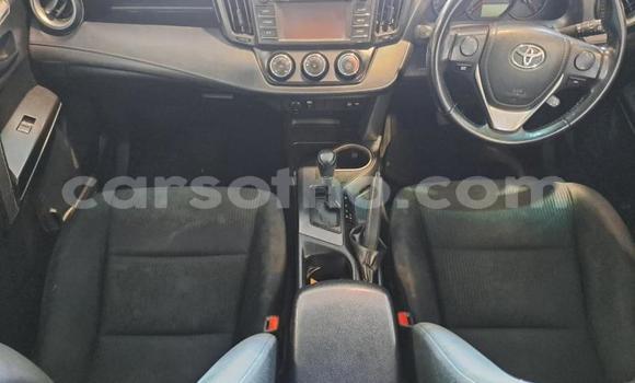 اشتري مستعمل Toyota RAV4 Black سيارة في Maseru في Maseru اشتري مستعمل Toyota RAV4 Black سيارة في Maseru في Maseru