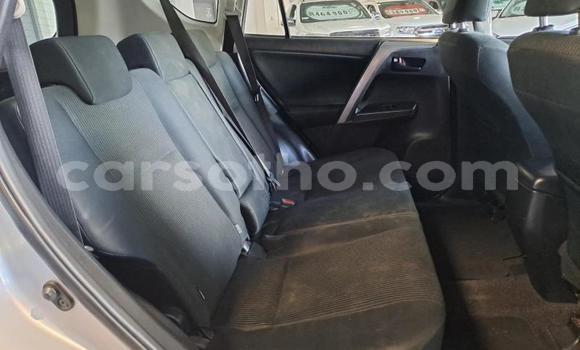 اشتري مستعمل Toyota RAV4 Black سيارة في Maseru في Maseru اشتري مستعمل Toyota RAV4 Black سيارة في Maseru في Maseru